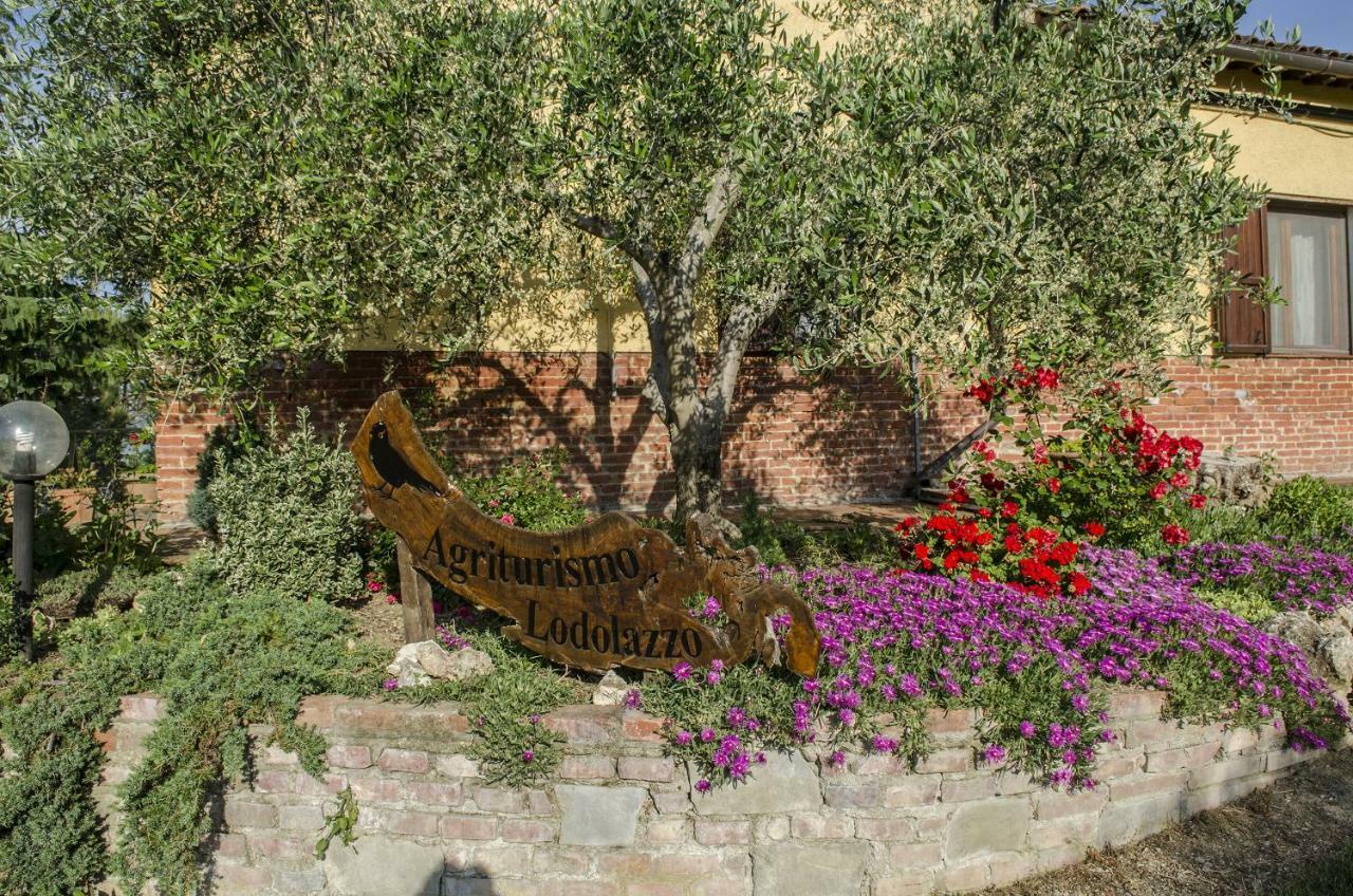 Agriturismo Lodolazzo 코르토나 외부 사진